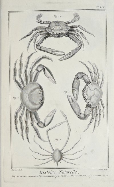 Krebse, Illustration aus 