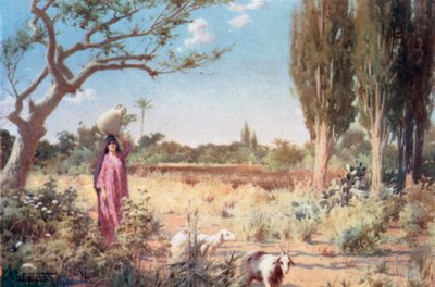 Ein Pastorale in der Nähe von Damietta von Robert George Talbot Kelly