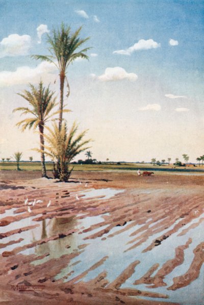 Ein bewässertes Feld von Robert George Talbot Kelly