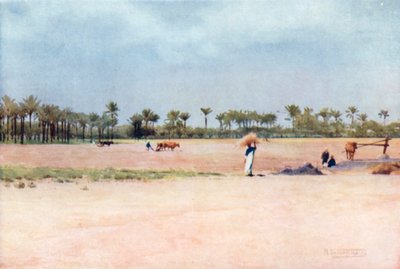 Esbet-el-Ekiad – Land von Goshen von Robert George Talbot Kelly