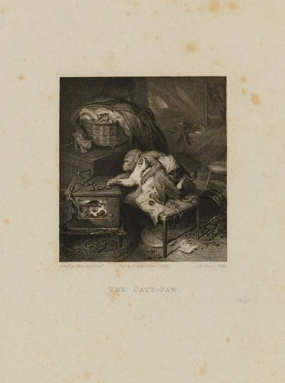 Die Katzenpfote von Robert Graves