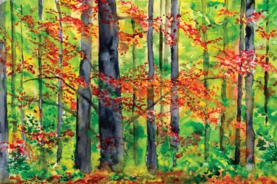 Herbstwaldglühen von RodMacIver