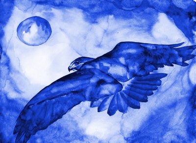 Blauer Falkenmondflug von RodMacIver