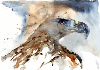 Majestätischer Aquarell-Adler von RodMacIver
