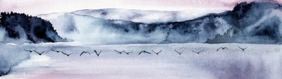 Flug der Vögel im nebligen Gebirge von RodMacIver