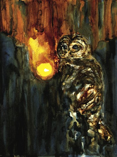 Mystisches Eulenlicht von RodMacIver