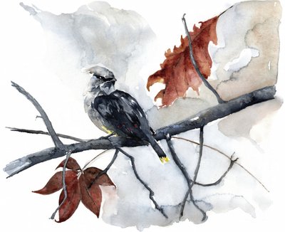 Friedlicher Herbstvogel von RodMacIver