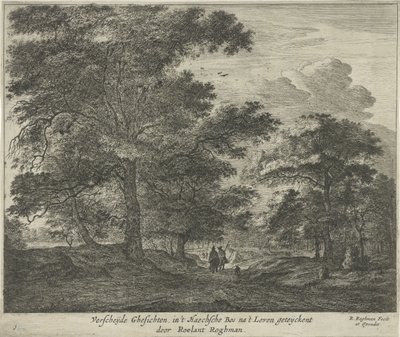 Waldweg im Haagse Bos von Roelant Roghman