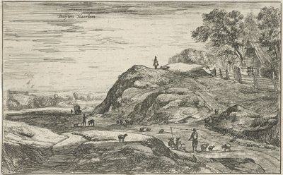 Ansicht außerhalb von Haarlem von Roelant Roghman