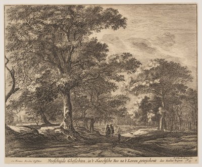 Platte 1, aus Sechs Ansichten im Wald von Den Haag von Roelant Roghman