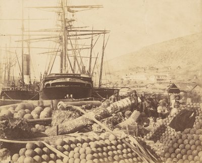 Der Artilleriekai in Balaklawa von Roger Fenton