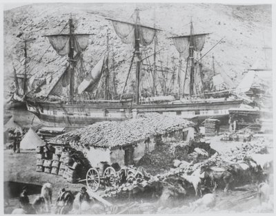 Der Vieh-Pier im Hafen von Balaklava von Roger Fenton