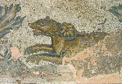Jagdszene, Detail einer Löwin, Haus des Dionysos, Paphos, Zypern von Roman