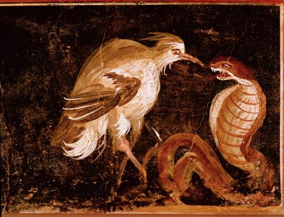Römische Kunst: „Kampf zwischen einem Reiher und einer Kobra“ Römisches Fresko aus dem Haus der Epigramme, Pompeji, Italien (Kampf zwischen einem Reiher und einer Kobra, Fresko aus der Casa degli Epigrammi, Pompeji) 60-80 n. Chr. von Roman