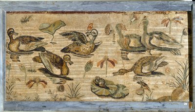 Römische Kunst: Ente, Frosch und Seerosen in einem Teich. Mosaik aus der Villa der Fauna in Pompeji. 1. Jahrhundert. Museo Archeologico Nazionale, Neapel von Roman