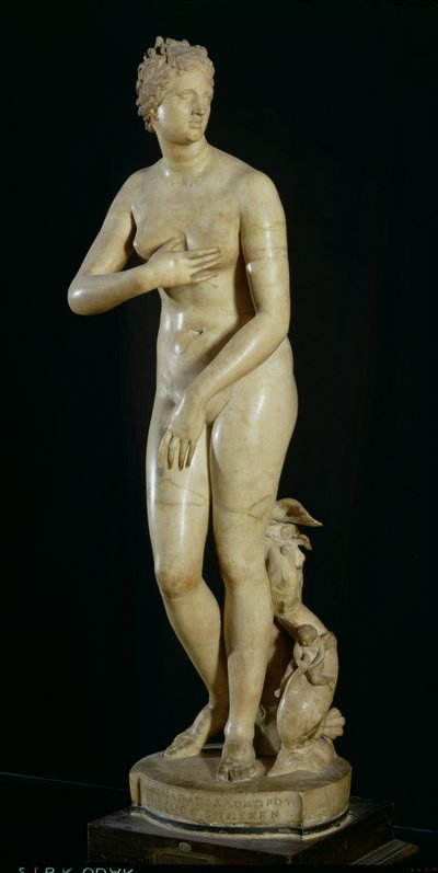 Die Medici-Venus, Kopie des hellenistischen Originals von Praxiteles von Roman