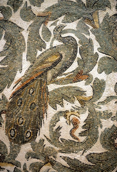Pfau, Detail des Mosaiks - 4. Jahrhundert n. Chr., Bardo Museum, Tunis von Roman Roman