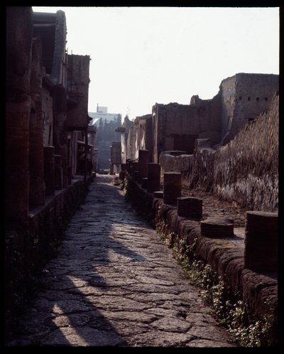 Ansicht einer Straße, 5. Jahrhundert v. Chr. - 1. Jahrhundert n. Chr. von Roman Roman
