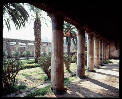 Ansicht des Peristyls des Casa d