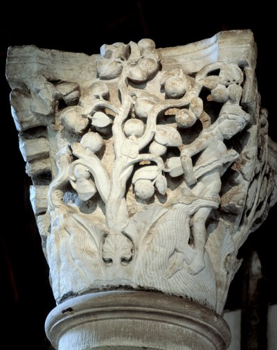 Paradies: ein Feigenbaum und ein Apfelbaum, Kapitell des Chors (Skulptur) von Romanesque