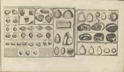 Diamanten, Rubine und Perlen von Romeyn de Hooghe