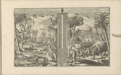Tiere aus Westindien von Romeyn de Hooghe