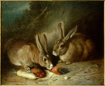 Kaninchen. von Rosa Bonheur