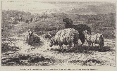 Schafe in einer Landschaft, Bretagne von Rosa Bonheur