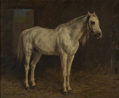 Weißes Pferd von Rosa Bonheur