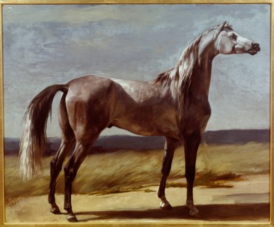 Pferd in einer Landschaft von Rudolf Koller