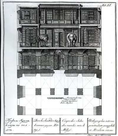 Querschnittsansicht der Halle der Raritäten nach Süden, Illustration in Chambers der St. Petersburger Kaiserlichen Akademie der Wissenschaften Bibliothek und Galerie mit Plänen, Fassaden und Profilen von Johann von Russian School
