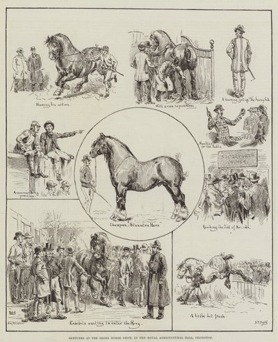 Skizzen auf der Shire Horse Show, in der Royal Agricultural Hall, Islington von S.T. Dadd