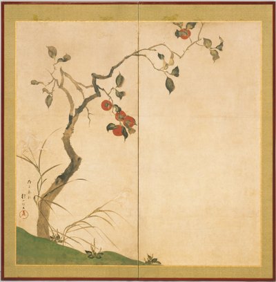 Kaki-Baum von Sakai Hoitsu