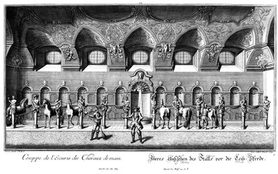 Innenansicht des Stalls für die Leibpferde von Salomon Kleiner
