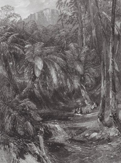 Australien: Ein Farnbaumtal von Samuel (after) Prout
