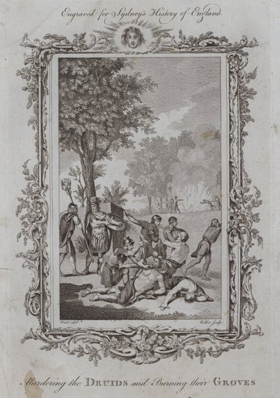 Das Morden der Druiden und das Verbrennen ihrer Haine von Samuel (after) Wale