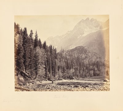 Blick in das Sindh-Tal von Samuel Bourne