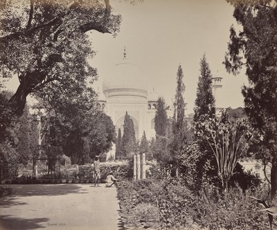 Agra. Blick vom Garten auf das Taj Mahal von Samuel Bourne