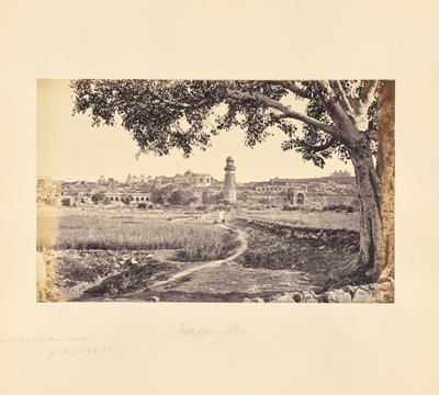 Fatehpur Sikri: Gesamtansicht der Ruinen (Westseite), vom Fuß des Hügels aus von Samuel Bourne