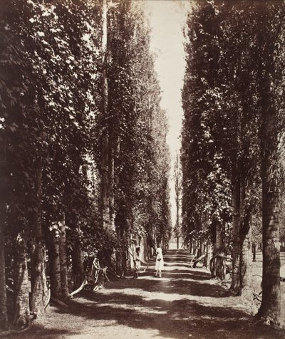 Indien von Samuel Bourne