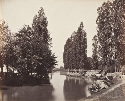 Fluss mit Bäumen (Indien) von Samuel Bourne