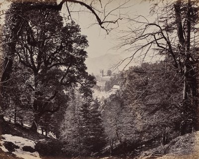 Shimla. Die Kirche durch die Bäume, von Jakko aus gesehen von Samuel Bourne