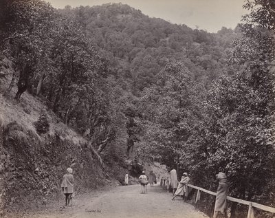 Shimla. The Mall oder Hauptstraße von Samuel Bourne