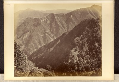 Simla: „Khuds“ nördlich von Jakko, vom Elysium Hill aus von Samuel Bourne