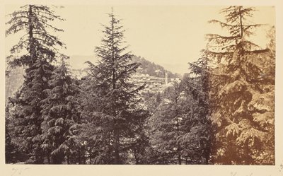 Simla; Die Kirche durch die Bäume, von Jakko von Samuel Bourne