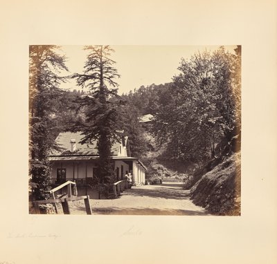 Simla; The Mall, Combermere Ridge von Samuel Bourne