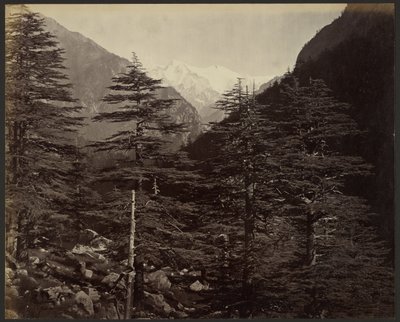 Schneebedeckte Gipfel bei Gangootri, von Bhairamghati aus von Samuel Bourne