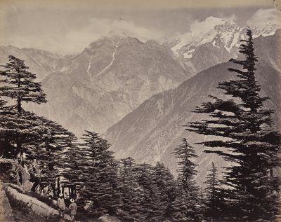 Der obere Himalaya. Blick nahe den China Mountains. Himalaya-Zedern im Vordergrund von Samuel Bourne