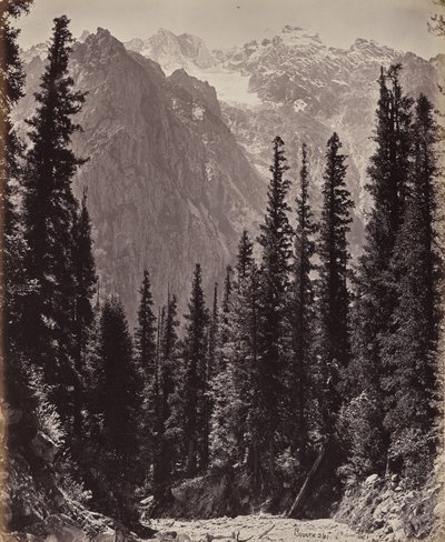 Der obere Himalaya. Blick in das Manga-Tal von Samuel Bourne