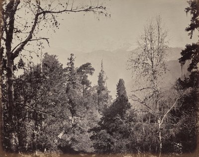 Der obere Himalaya. Blick auf den Berg Bandarpunch mit dem Yamunotri-Gipfel, 20,458 über dem Meeresspiegel von Samuel Bourne